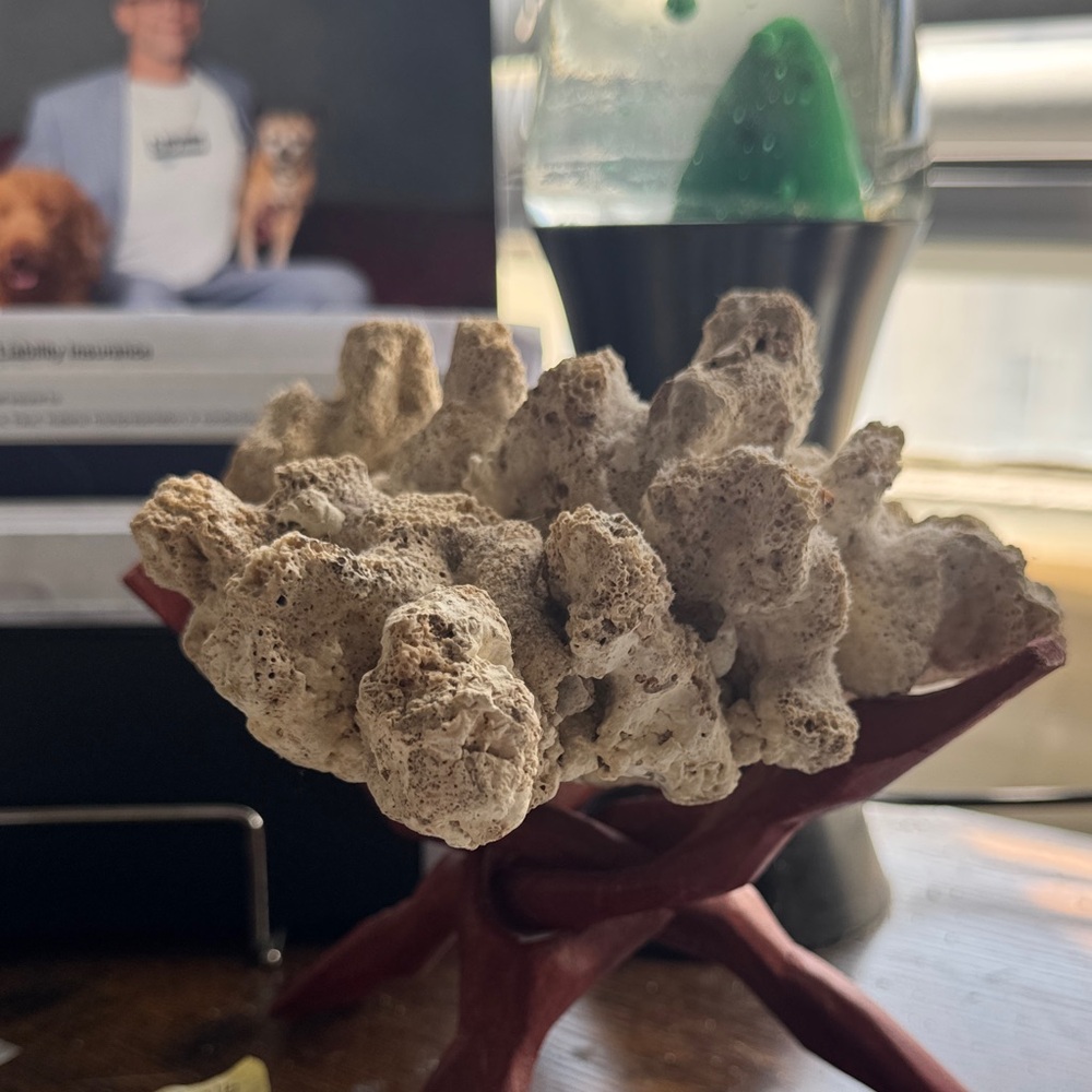Natural Coral on Red Stand